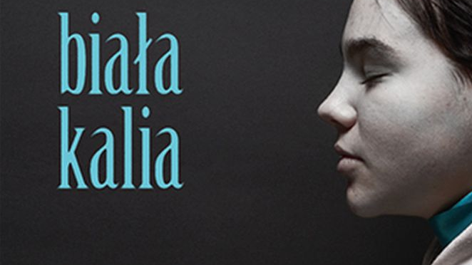 / - grafika artykułu