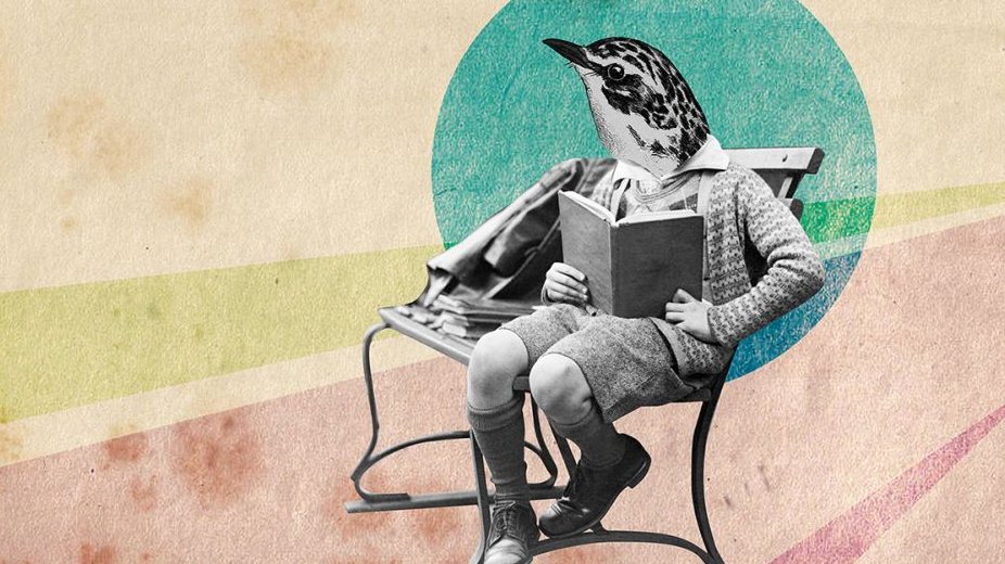 . - grafika artykułu