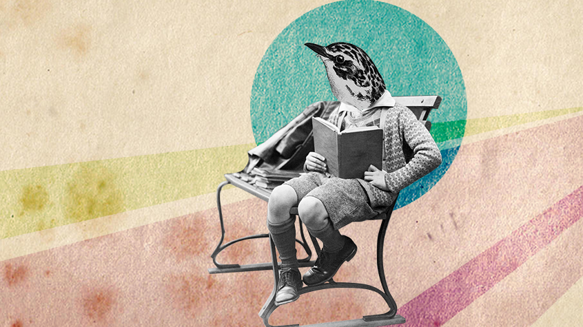 . - grafika artykułu