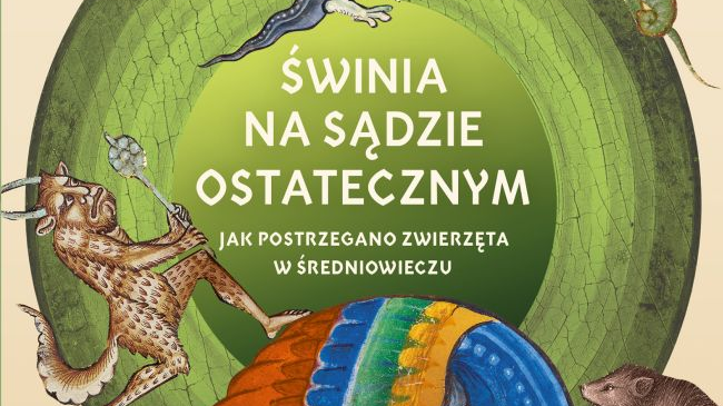 , - grafika artykułu