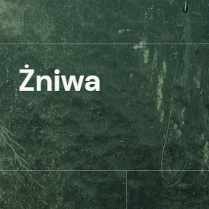 na ciemnozielonym tle biały tytuł spektaklu