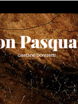 na pierwszym planie grafiki tytuł i dane autora opery, tło stanowi popękana beżowo-brazowa płaszczyzna.