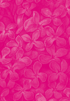 na ciemnoróżowym tle widoczne jaśniejsze kwiaty