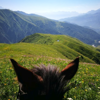 Gruzja z pierwszej ręki