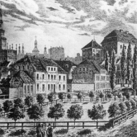 Gun, czyli koń z rogami