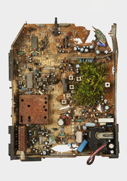 Instalacja Diany Lelonek