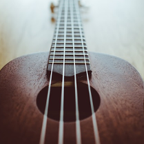 Instrument ukulelel