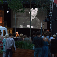 Intensywne lato na Wolnym