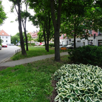 Introligatorski skwer