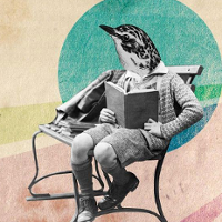 JA TU TYLKO CZYTAM. Kraj jak wybuchowa mieszanka