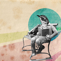 JA TU TYLKO CZYTAM. Z kamerą po Ameryce