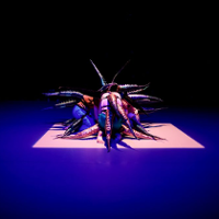 Jesteśmy holobiontami