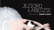 Jezioro łabędzie, Teatr Wielki w Poznaniu