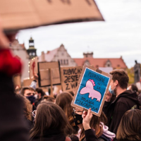Język kobiecej rewolucji