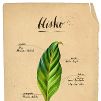 Już za kilka dni, już "Blisko"