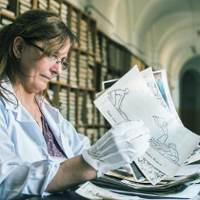 Kartoteka procesów o czary