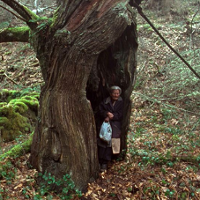KINO DOMOWE. Kiedy nadejdzie ogień