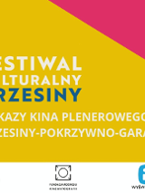 Kino Plenerowe: Osiedlowe Wieczory Filmowe