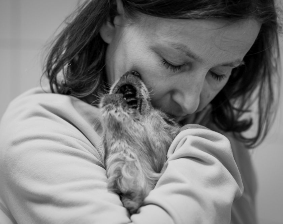 Kobieta przytula do siebie mocno psa, który przykłada bezzębny pyszczek do jej policzka.