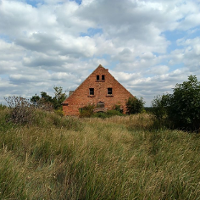 KOŁONOTATNIK. Czym puszcza bogata