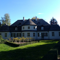 KOŁONOTATNIK. Kot w kapuście