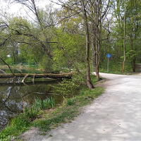 KOŁONOTATNIK. Uwaga! Żółw!