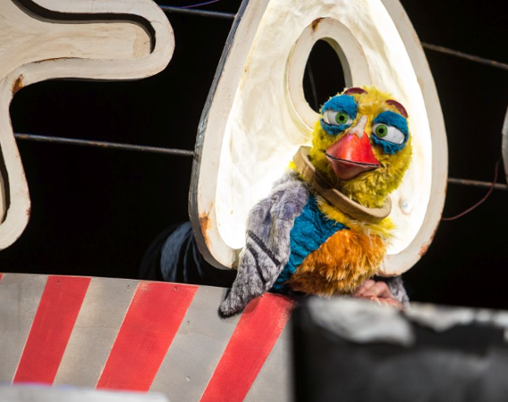 Kolorowa pacynka ptaka.