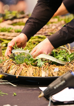 komponowanie stroików