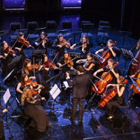 Kompozycje na czas przetrwania