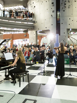 Koncert na Szachownicy