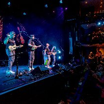 Zdjęcie przedstawia czterech muzyków występujących na scenie, grających na ukulele.