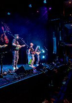 Zdjęcie przedstawia czterech muzyków występujących na scenie, grających na ukulele.