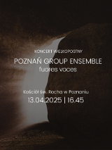 Grafika przypominająca brązową skałę, w której widać szczelinę. Białe napisy informujące o wydarzeniu.