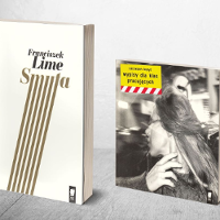 Kopyt i Szlosarek: wiersze wybrane