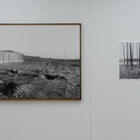 Krajobraz jako medium