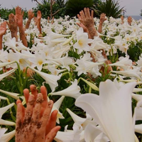 Krótkie eksperymenty