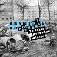 "Kryminał do Poznania. To takie porządne miasto" - wyniki konkursu