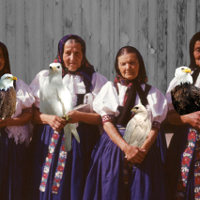 Kultura na letni weekend