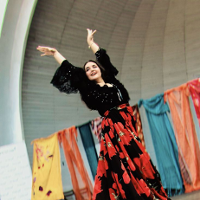 Kultura Romska po raz 14!