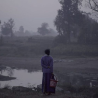 KULTURA W KAPCIACH. Fakty są lepsze od kłamstw?