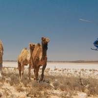 KULTURA W KAPCIACH. Zrób sobie omlet