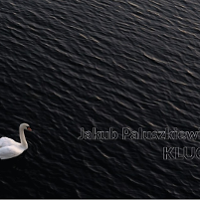 KWADRATURA PŁYTY. Z długim terminem przydatności