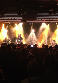 Na pierwszym planie głowy widowni, która słucha koncertu. Na oświetlonej scenie piątka mężczyzn w średnim wieku gra koncert na różnych instrumentach. Wśród nich jest gitarzysta, bębniarz, wiolonczelista, akordeonista.