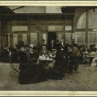 Kwitnące kapelusze nad Wartą