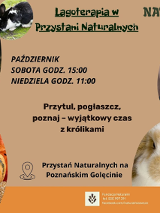 Na pomarańczowym tle okręgi, w które wpisano fotografie. W dwóch z nich zdjęcia królików. W jednym zdjęcie dyń, W ostatnim zdjęce mężczyzny nalewającego zupę z garnka.