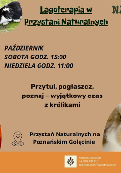 Na pomarańczowym tle okręgi, w które wpisano fotografie. W dwóch z nich zdjęcia królików. W jednym zdjęcie dyń, W ostatnim zdjęce mężczyzny nalewającego zupę z garnka.