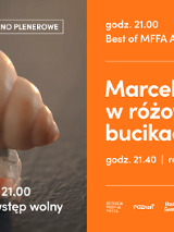 Best of MFFA Animator 2023. Sobota 12.08.2023 r. Godzina 21.00. Seans Marcel Muszelka w różowych bucikach o godzinie 21.40.