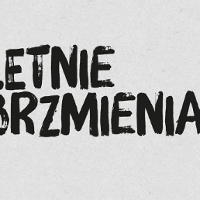 Obrazek przedstawia napis Letnie Brzmienia 2022 na szarym tle.