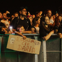 LETNIE BRZMIENIA. Kobiece granie