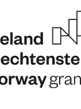 Logo Iceland Liechtenstein.